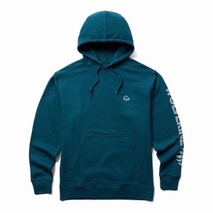 Blue Wolverine Graphic- Sleeve Logo Men Hoodie | FAS581YE