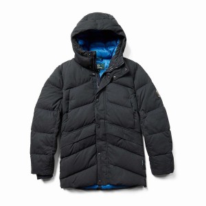 Dark Navy Wolverine Frost Down Parka Men Jackets | WXG9840WI