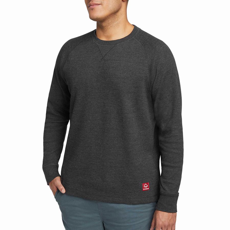 Black Wolverine Walden II Thermal Long Sleeve Tee Men T Shirts | SUM2486PH