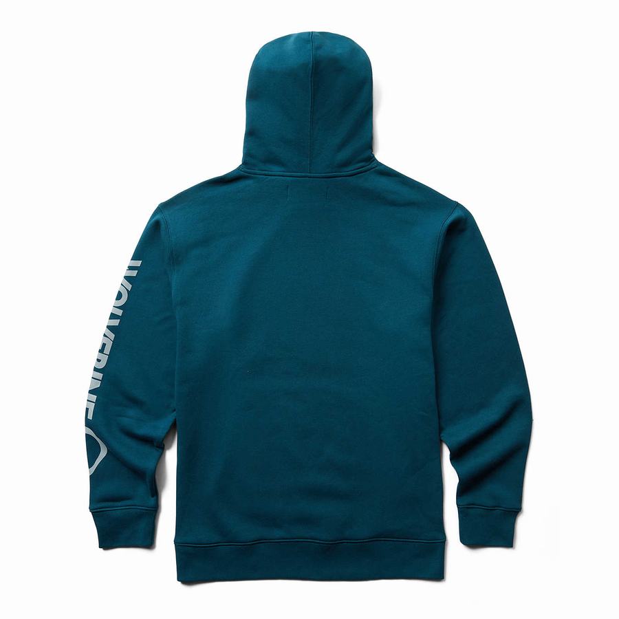 Blue Wolverine Graphic- Sleeve Logo Men Hoodie | FAS581YE