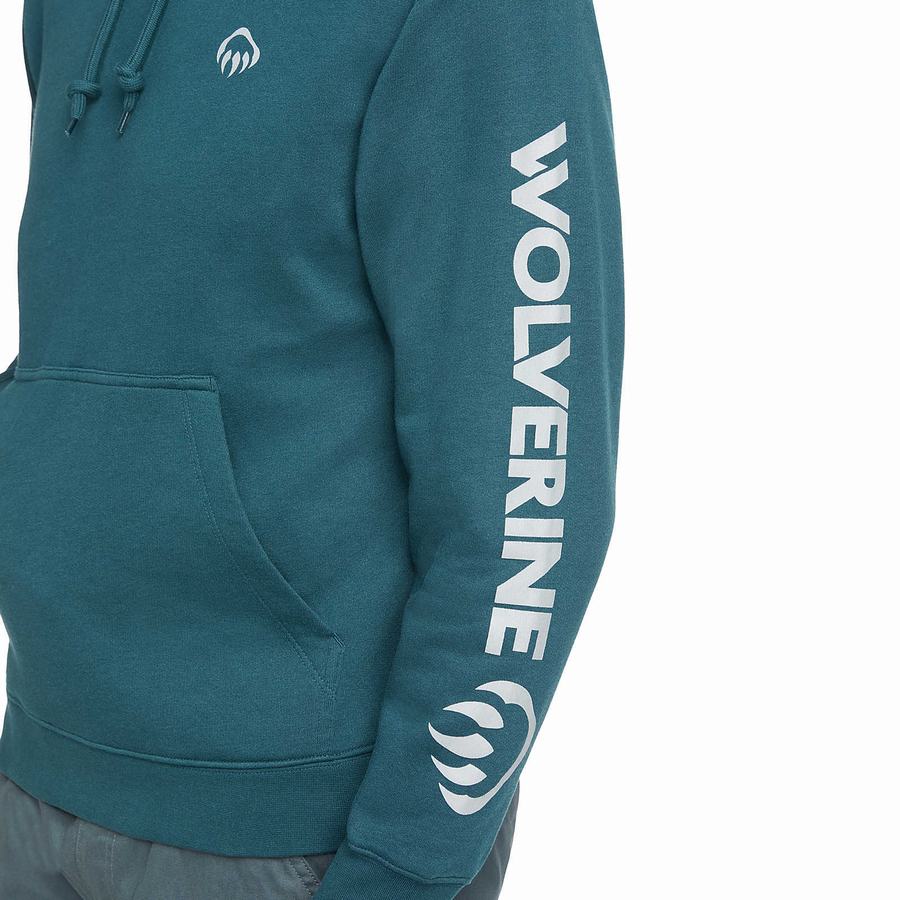 Blue Wolverine Graphic- Sleeve Logo Men Hoodie | FAS581YE