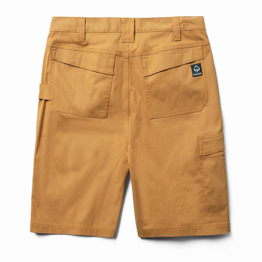 Brown Wolverine Carbur Men Shorts | FRH6038TK