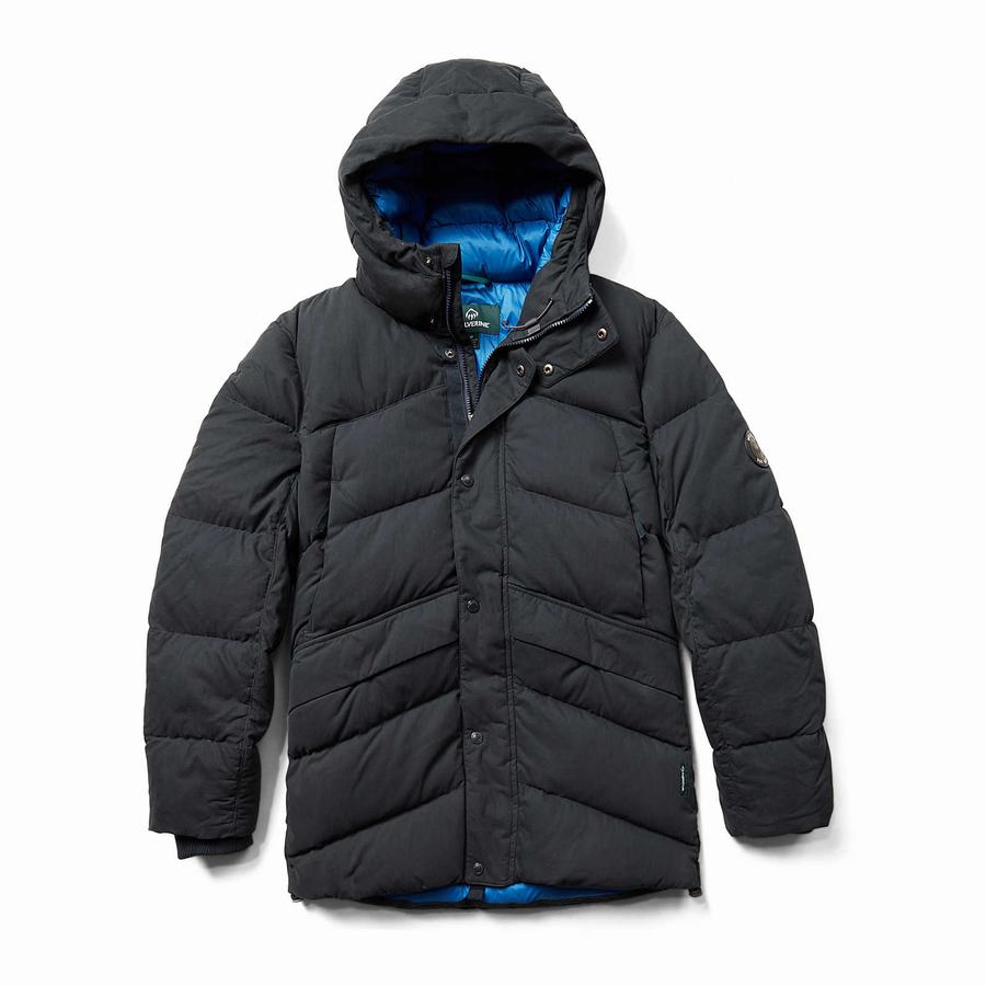 Dark Navy Wolverine Frost Down Parka Men Jackets | WXG9840WI