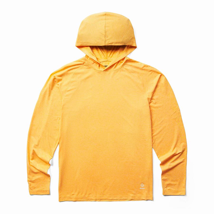 Yellow Wolverine Sun-Stop Pullover Men Hoodie | VMW6040RA